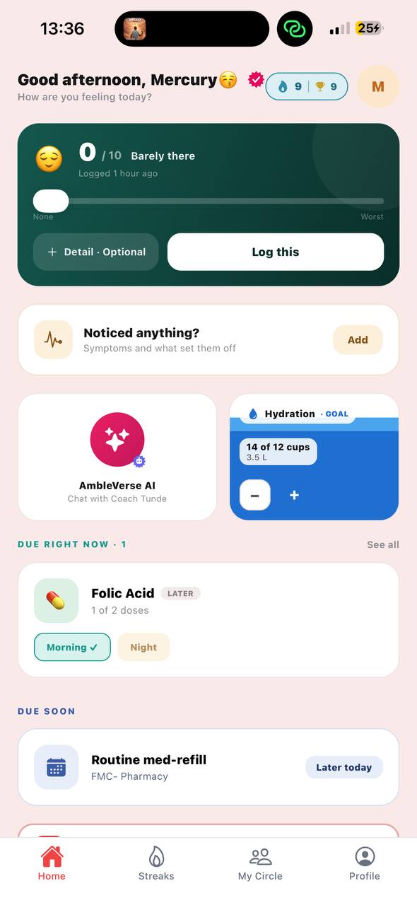 The AmbleVerse warrior home screen, showing today's pain check-in, hydration, medication doses due and an emergency alert button.