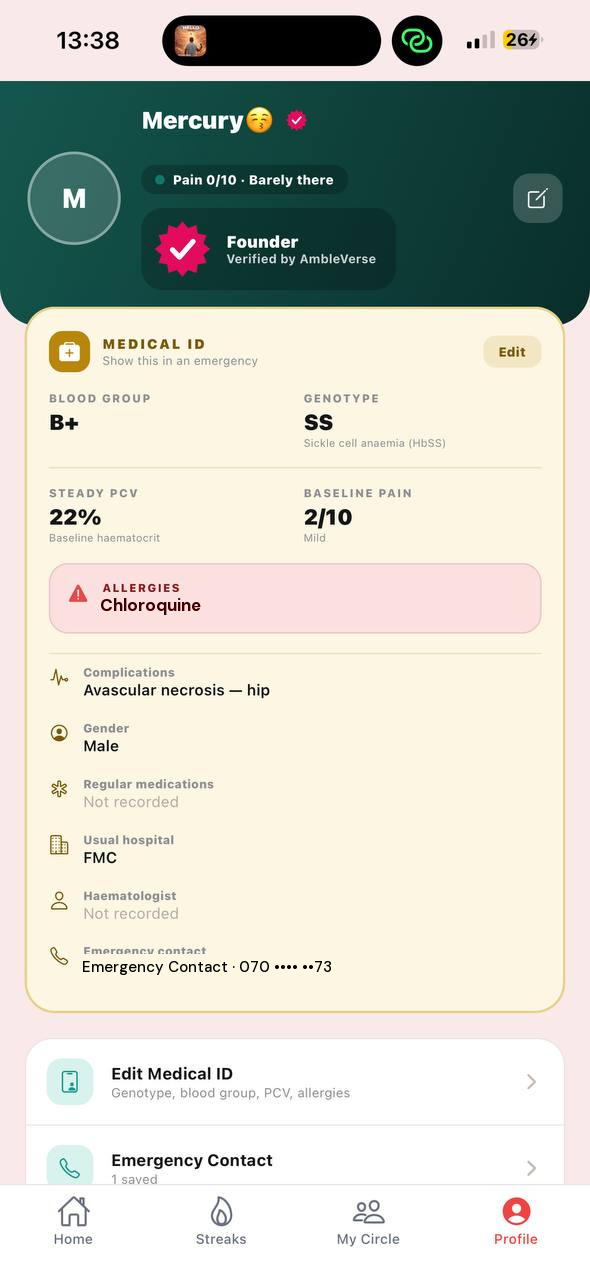 A warrior's AmbleVerse profile, showing the year of logged days and pain history.